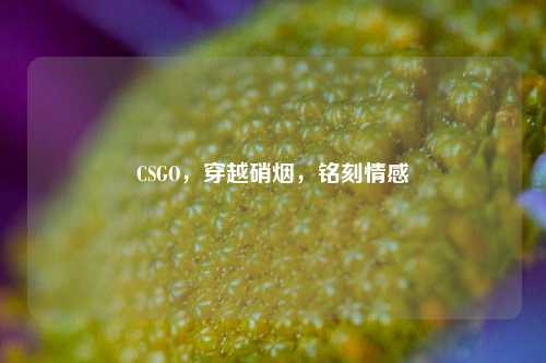 CSGO,穿越硝烟,铭刻情感