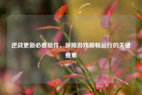 逆战更新必要组件,保障游戏顺畅运行的关键要素