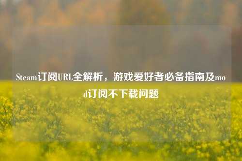 Steam订阅URL全解析,游戏爱好者必备指南及mod订阅不下载问题