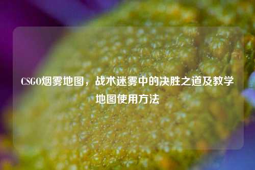 CSGO烟雾地图,战术迷雾中的决胜之道及教学地图使用 ***