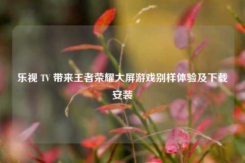 乐视 TV 带来王者荣耀大屏游戏别样体验及下载安装