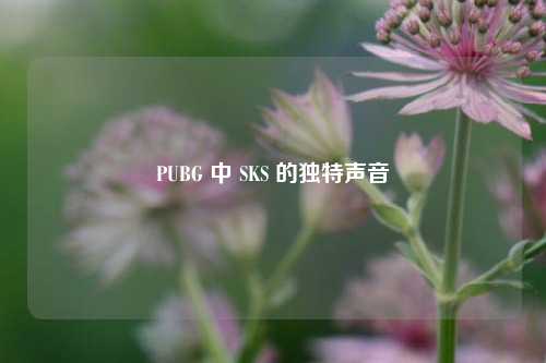PUBG 中 SKS 的独特声音