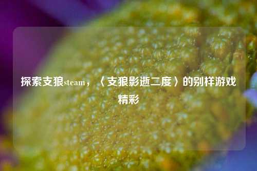 探索支狼steam，〈支狼影逝二度〉的别样游戏精彩