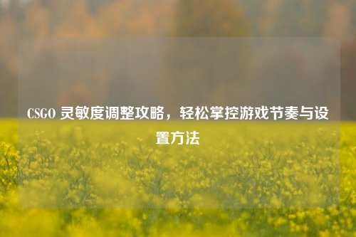 CSGO 灵敏度调整攻略,轻松掌控游戏节奏与设置 ***