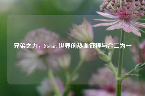 兄弟之力，Steam 世界的热血征程与合二为一