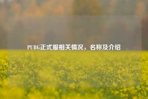 PUBG正式服相关情况,名称及介绍