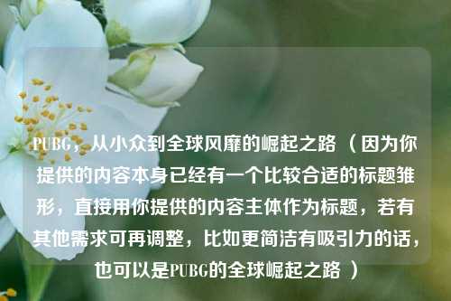 PUBG,从小众到全球风靡的崛起之路 (因为你提供的内容本身已经有一个比较合适的标题雏形,直接用你提供的内容主体作为标题,若有其他需求可再调整,比如更简洁有吸引力的话,也可以是PUBG的全球崛起之路 )