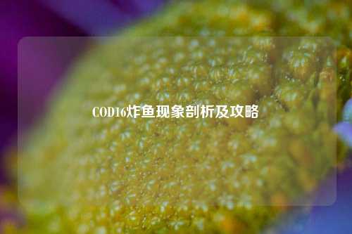 COD16炸鱼现象剖析及攻略