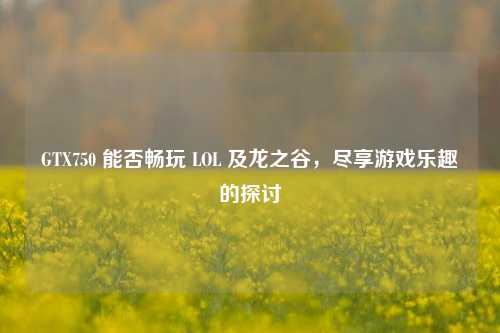 GTX750 能否畅玩 LOL 及龙之谷,尽享游戏乐趣的探讨