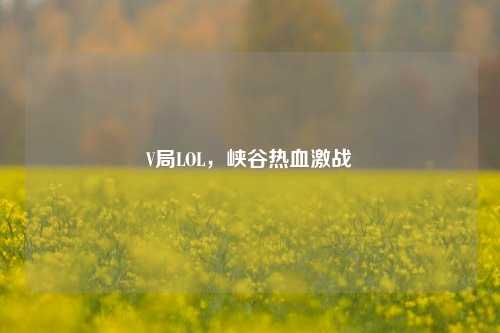 V局LOL，峡谷热血激战