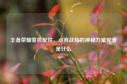 王者荣耀紫色配件,点亮战局的神秘力量究竟是什么