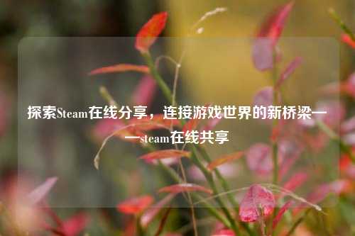 探索Steam在线分享,连接游戏世界的新桥梁——steam在线共享