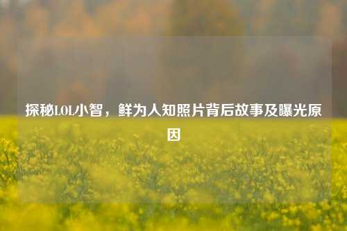 探秘LOL小智,鲜为人知照片背后故事及曝光原因