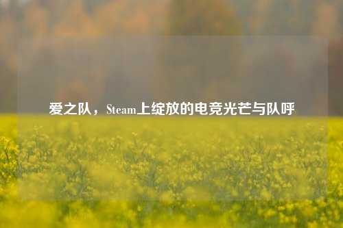爱之队,Steam上绽放的电竞光芒与队呼