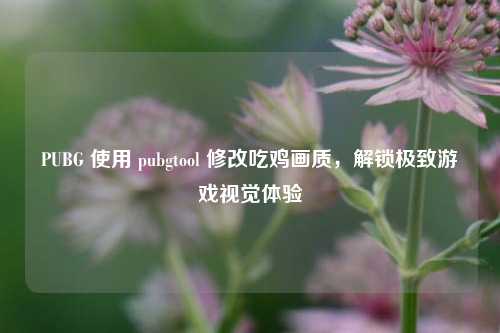 PUBG 使用 pubgtool 修改吃鸡画质,解锁极致游戏视觉体验