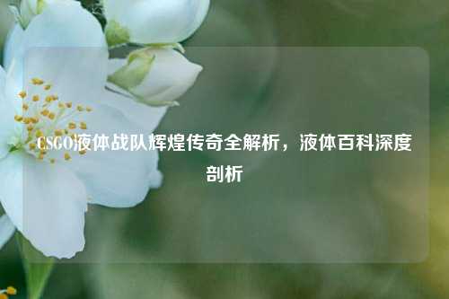 CSGO液体战队辉煌传奇全解析，液体百科深度剖析
