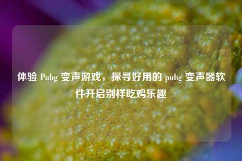 体验 Pubg 变声游戏,探寻好用的 pubg 变声器软件开启别样吃鸡乐趣