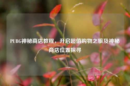 PUBG神秘商店教程,开启超值购物之旅及神秘商店位置探寻