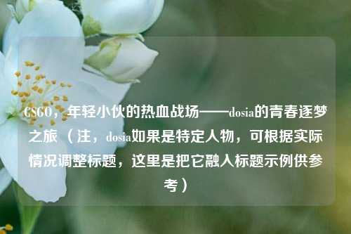 CSGO,年轻小伙的热血战场——dosia的青春逐梦之旅 (注,dosia如果是特定人物,可根据实际情况调整标题,这里是把它融入标题示例供参考)