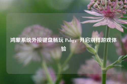鸿蒙系统外接键盘畅玩 Pubg，开启别样游戏体验
