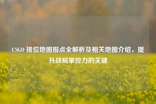 CSGO 排位地图报点全解析及相关地图介绍,提升战局掌控力的关键