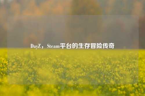 DayZ，Steam平台的生存冒险传奇