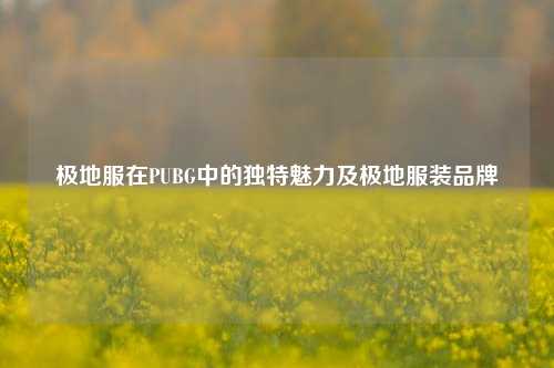 极地服在PUBG中的独特魅力及极地服装品牌