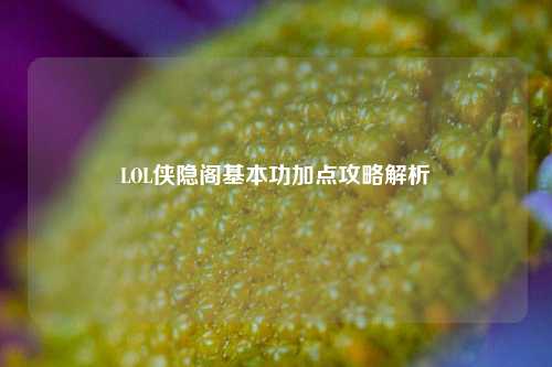LOL侠隐阁基本功加点攻略解析
