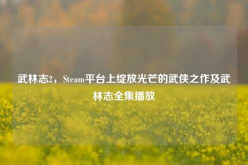武林志2,Steam平台上绽放光芒的武侠之作及武林志全集播放