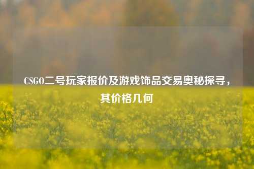 CSGO二号玩家报价及游戏饰品交易奥秘探寻,其价格几何