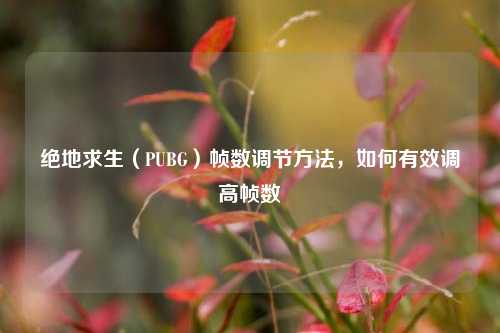 绝地求生（PUBG）帧数调节 *** ，如何有效调高帧数