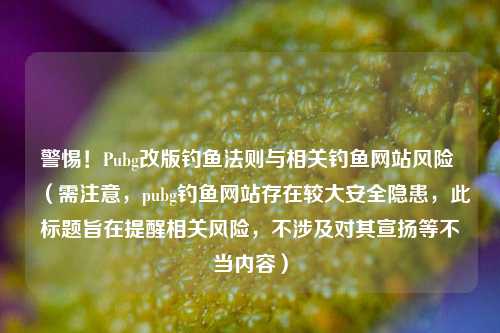 警惕!Pubg改版钓鱼法则与相关钓鱼网站风险 (需注意,pubg钓鱼网站存在较大安全隐患,此标题旨在提醒相关风险,不涉及对其宣扬等不当内容)