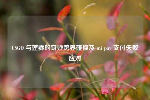 CSGO 与莲雾的奇妙跨界碰撞及 mi pay 支付失败应对