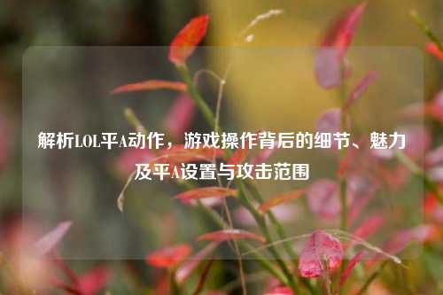 解析LOL平A动作，游戏操作背后的细节、魅力及平A设置与攻击范围