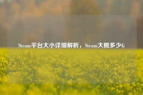 Steam平台大小详细解析,Steam大概多少G