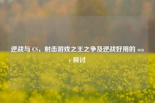 逆战与 CS,射击游戏之王之争及逆战好用的 scar 探讨