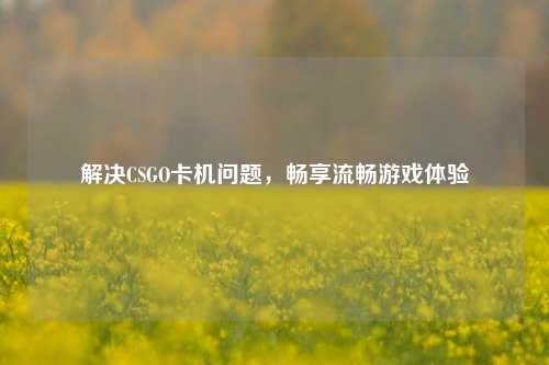解决CSGO卡机问题，畅享流畅游戏体验