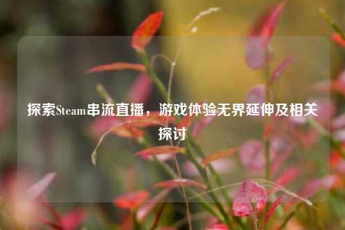 探索Steam串流直播,游戏体验***延伸及相关探讨