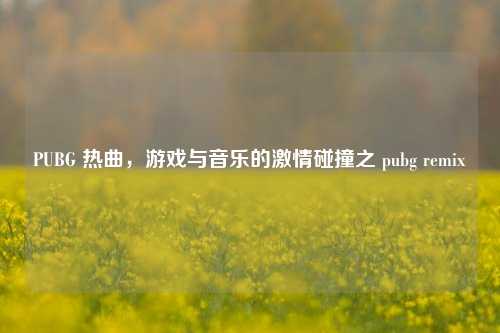 PUBG 热曲,游戏与音乐的***碰撞之 pubg remix