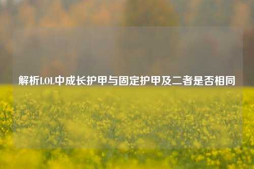解析LOL中成长护甲与固定护甲及二者是否相同