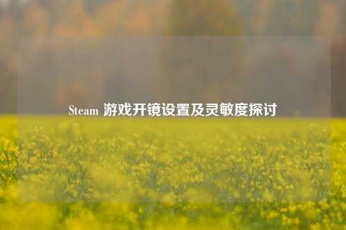 Steam 游戏开镜设置及灵敏度探讨