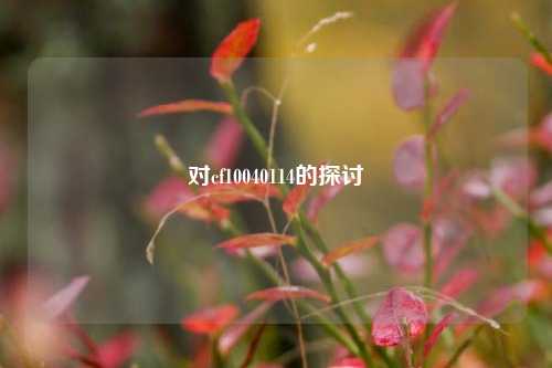 对cf10040114的探讨