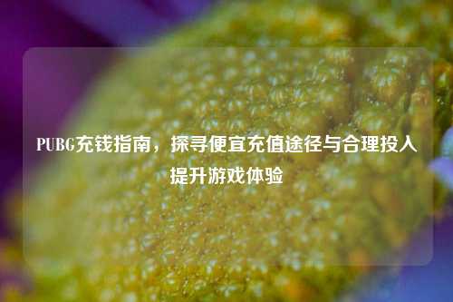 PUBG充钱指南，探寻便宜充值途径与合理投入提升游戏体验