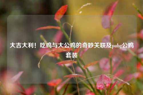 大吉大利!吃鸡与大公鸡的奇妙关联及pubg公鸡套装