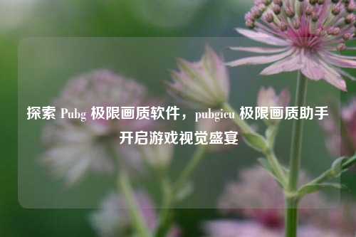 探索 Pubg 极限画质软件，pubgicu 极限画质助手开启游戏视觉盛宴