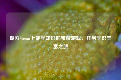 探索Steam上能学知识的宝藏游戏,开启学识丰富之旅