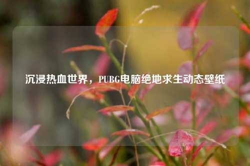 沉浸热血世界,PUBG电脑绝地求生动态壁纸