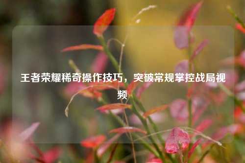 王者荣耀稀奇操作技巧,突破常规掌控战局视频