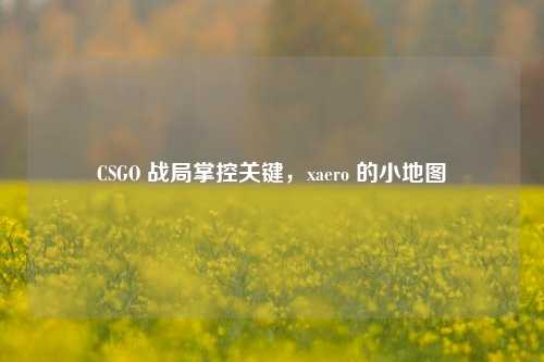 CSGO 战局掌控关键,xaero 的小地图