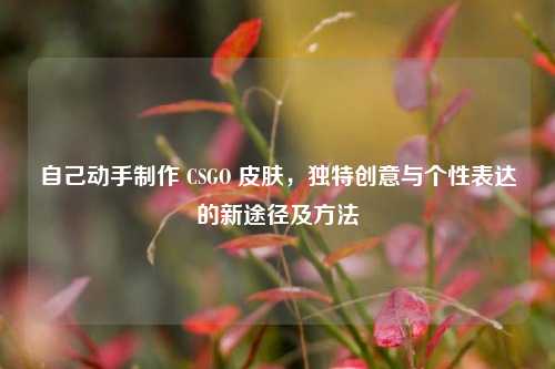 自己动手 ***  CSGO 皮肤，独特创意与个性表达的新途径及 *** 